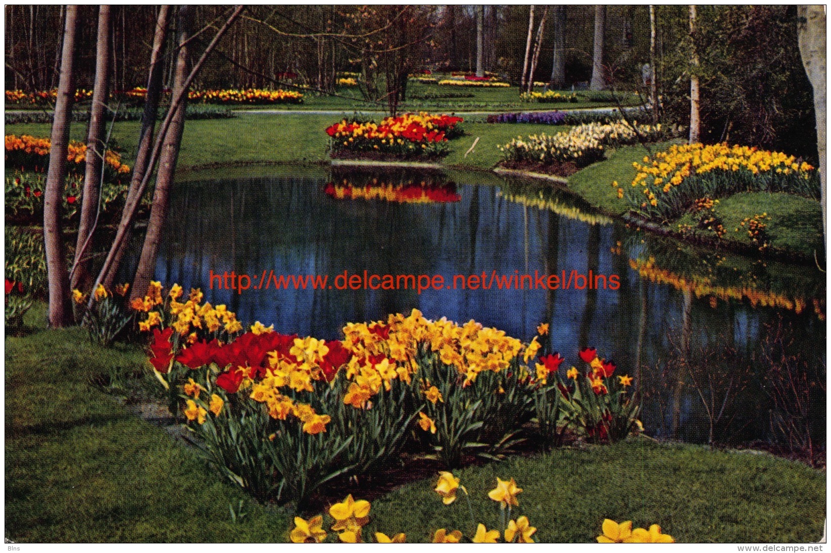 Keukenhof - Lisse - Lisse