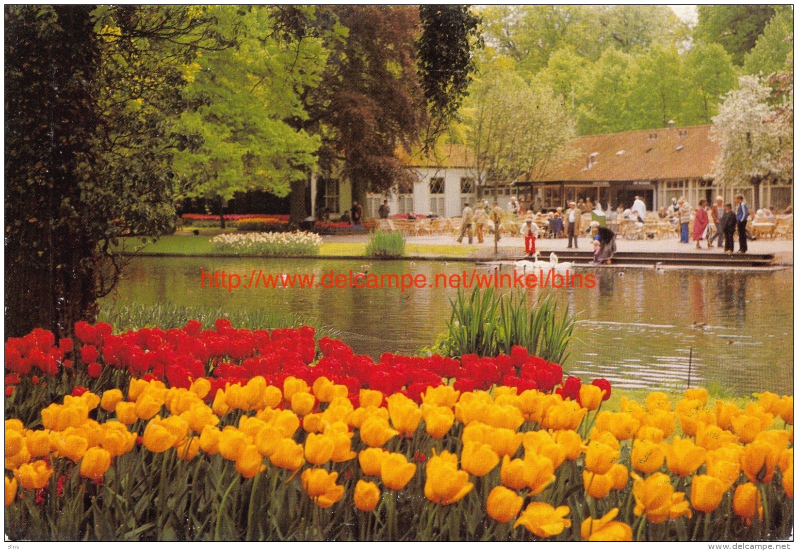 Keukenhof - Lisse - Lisse