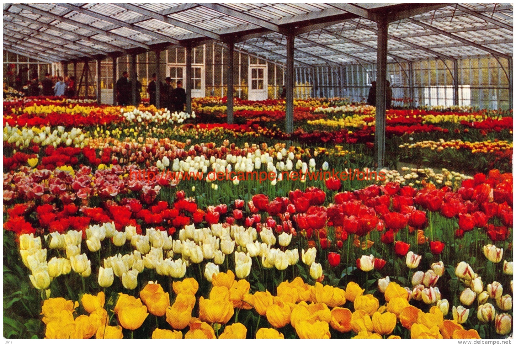 1967 Keukenhof - Lisse - Lisse