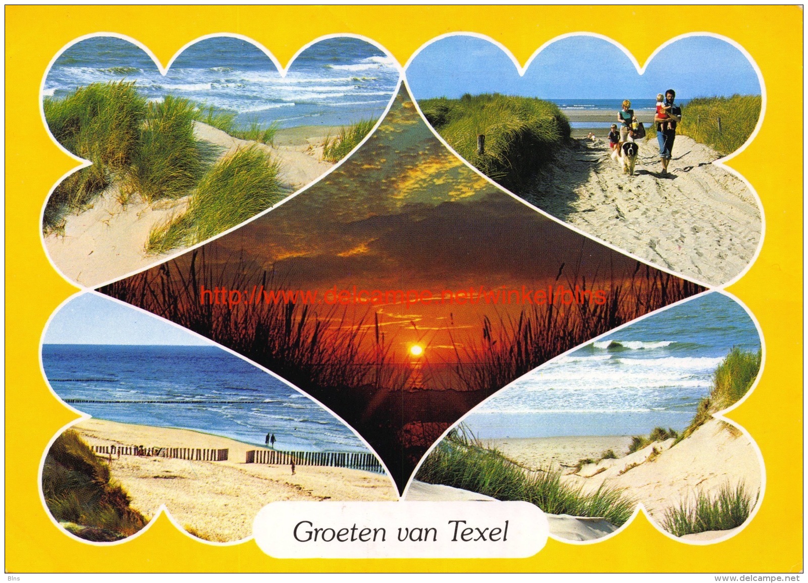 Groeten Van Texel - Texel