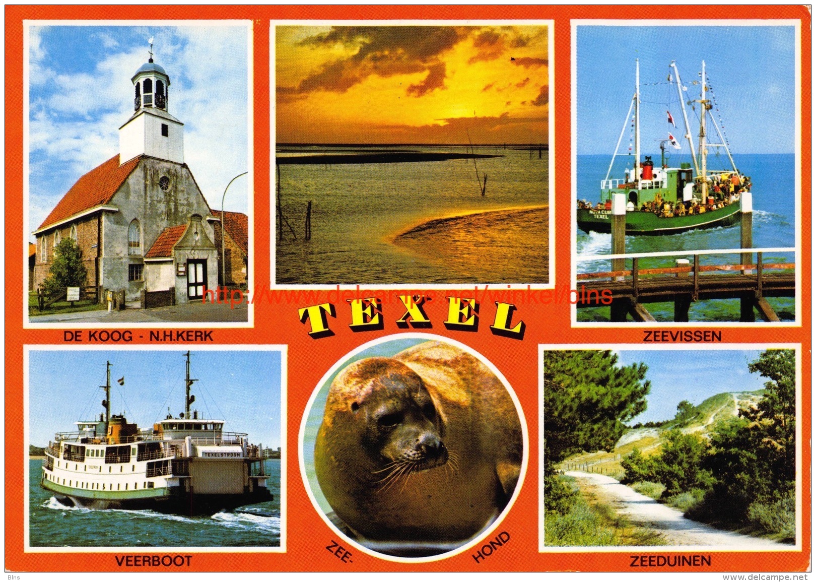 Texel - Texel