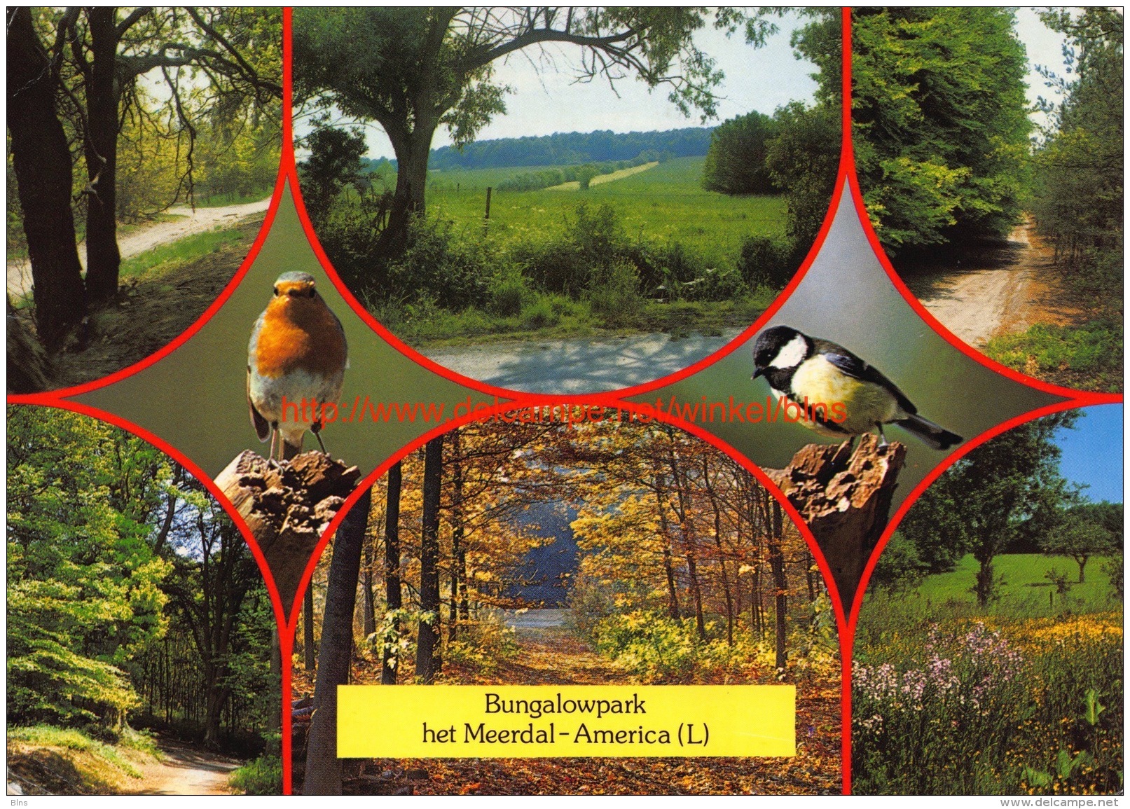 Bungalowpark Het Meerdal - America - Horst