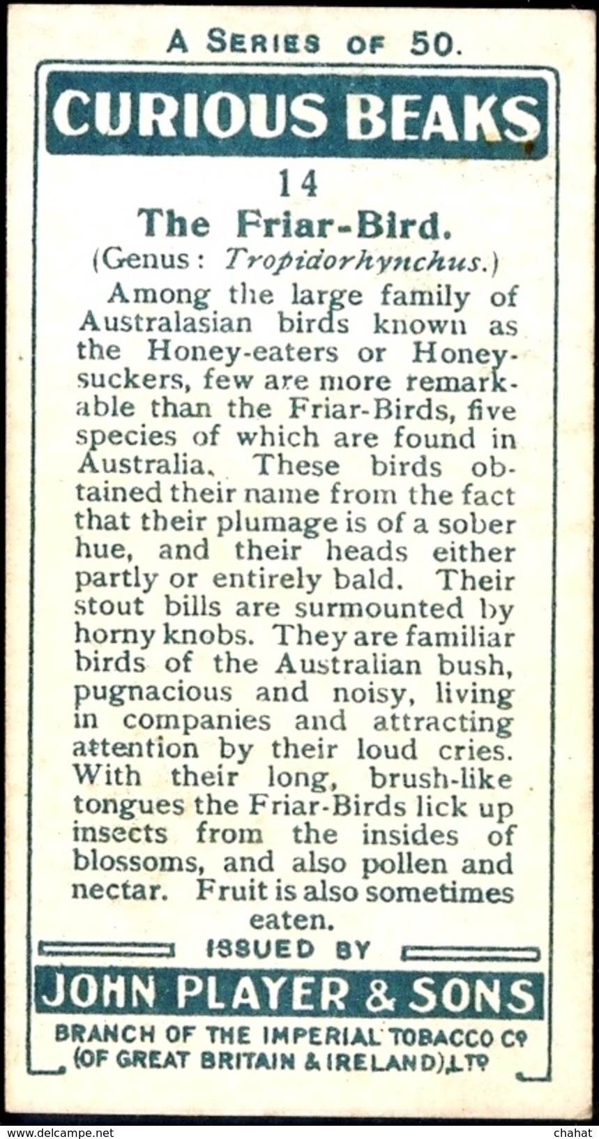 TOBACCO-CIGARETTES LABELS-JOHN PLAYERS & SONS-BIRDS-CURIOUS BEAKS-BIG COLLECTION-SCARCE-D4