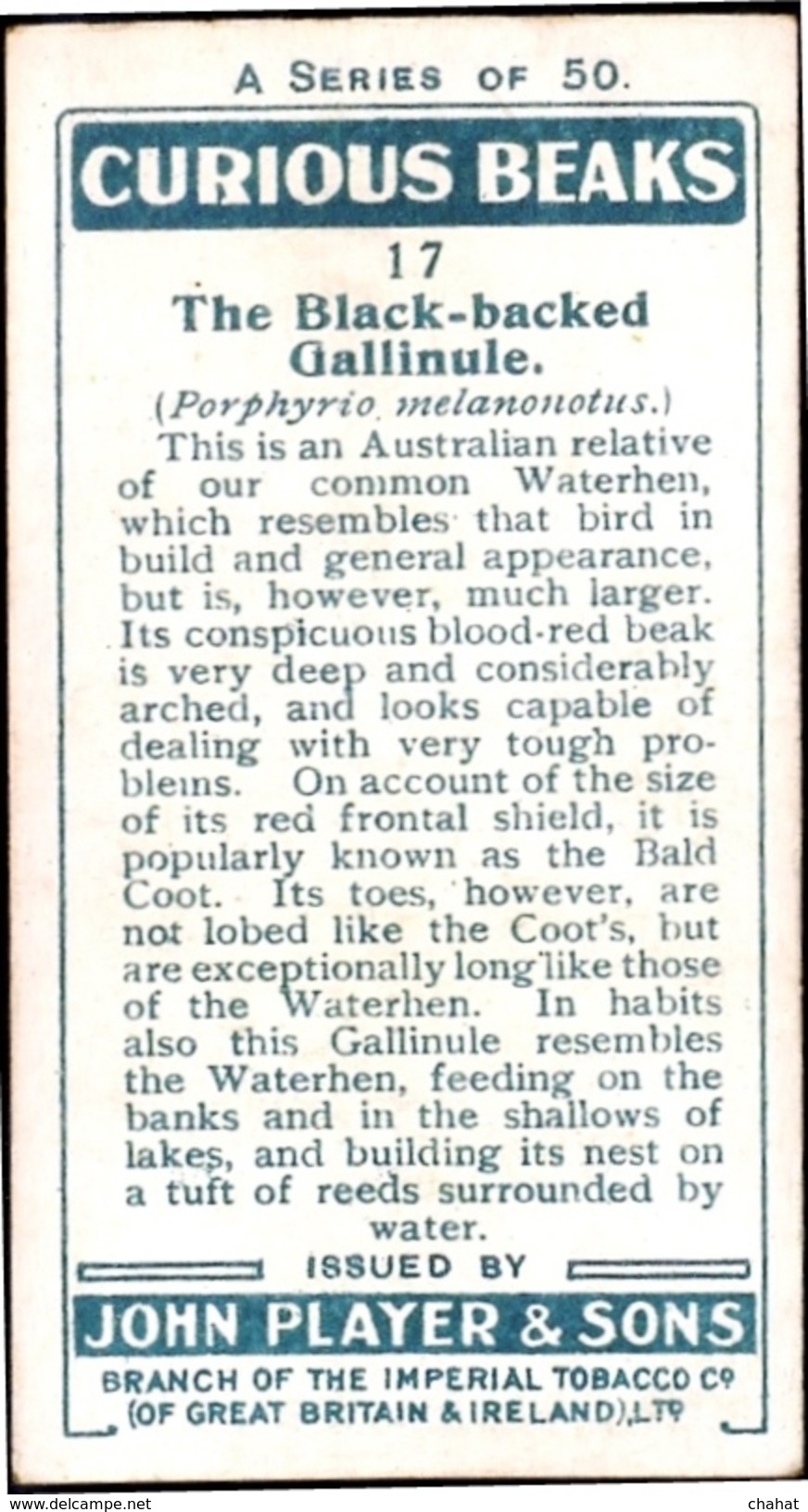 TOBACCO-CIGARETTES LABELS-JOHN PLAYERS & SONS-BIRDS-CURIOUS BEAKS-BIG COLLECTION-SCARCE-D4