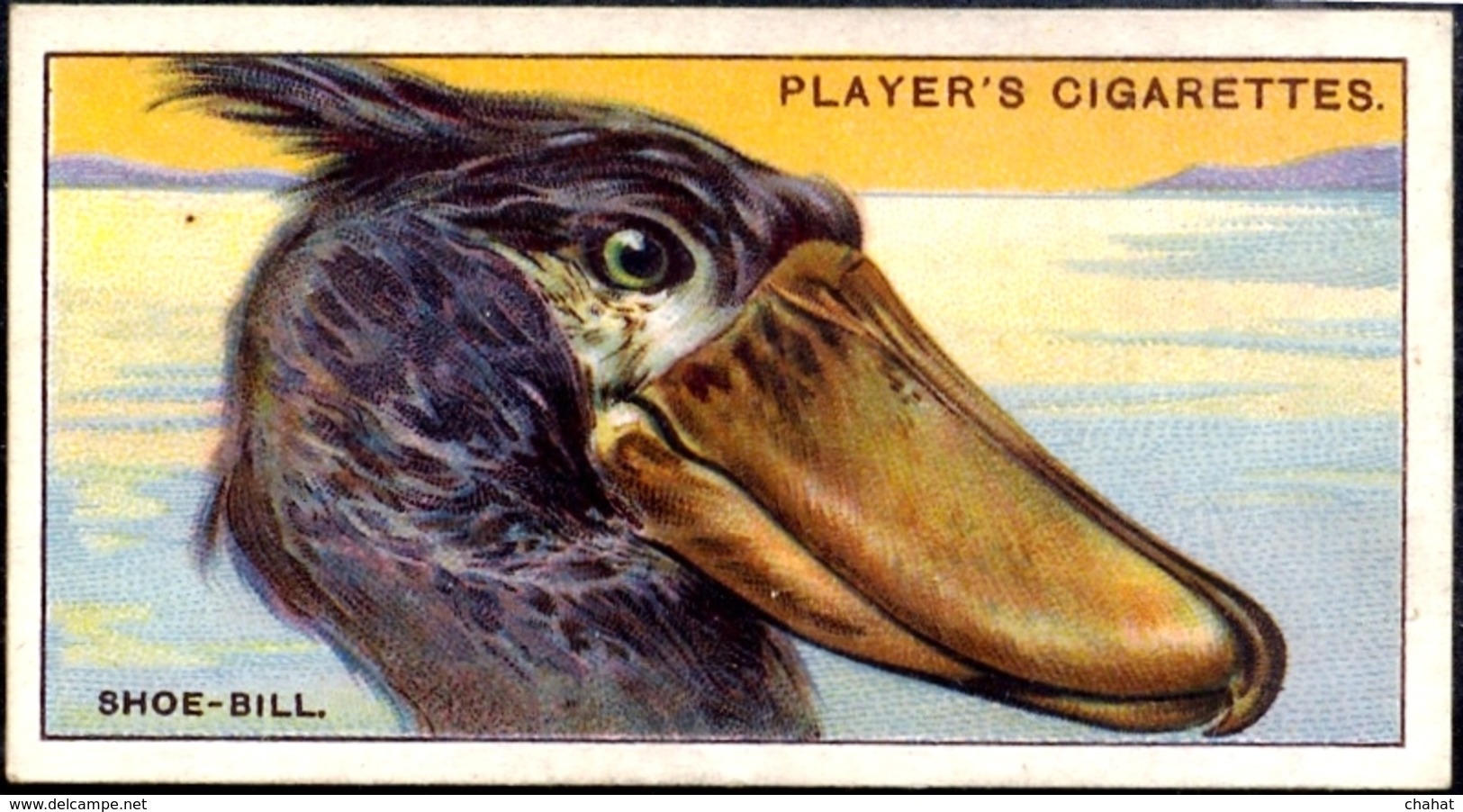 TOBACCO-CIGARETTES LABELS-JOHN PLAYERS & SONS-BIRDS-CURIOUS BEAKS-BIG COLLECTION-SCARCE-D4