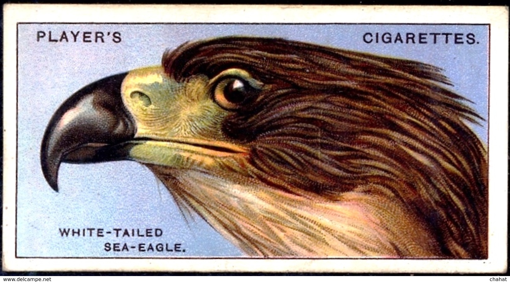 TOBACCO-CIGARETTES LABELS-JOHN PLAYERS & SONS-BIRDS-CURIOUS BEAKS-BIG COLLECTION-SCARCE-D4