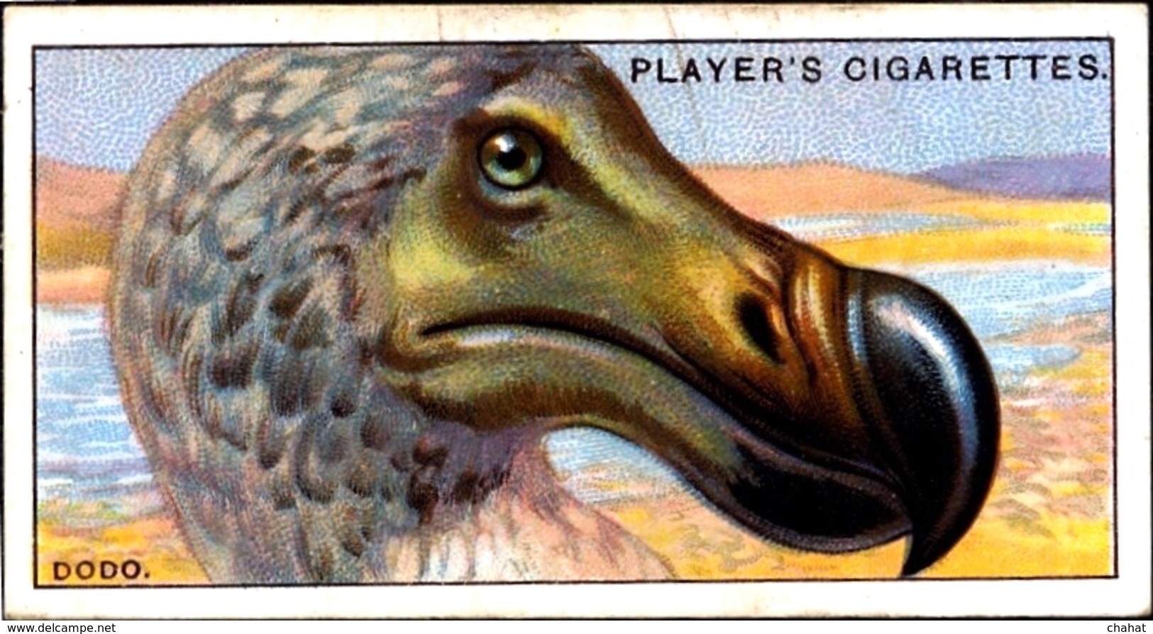 TOBACCO-CIGARETTES LABELS-JOHN PLAYERS & SONS-BIRDS-CURIOUS BEAKS-BIG COLLECTION-SCARCE-D4