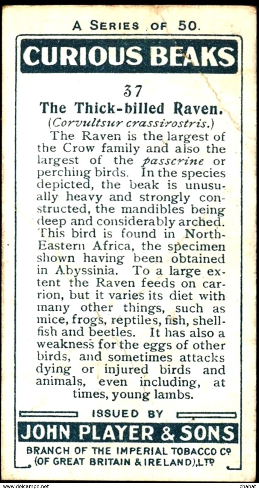 TOBACCO-CIGARETTES LABELS-JOHN PLAYERS & SONS-BIRDS-CURIOUS BEAKS-BIG COLLECTION-SCARCE-D4