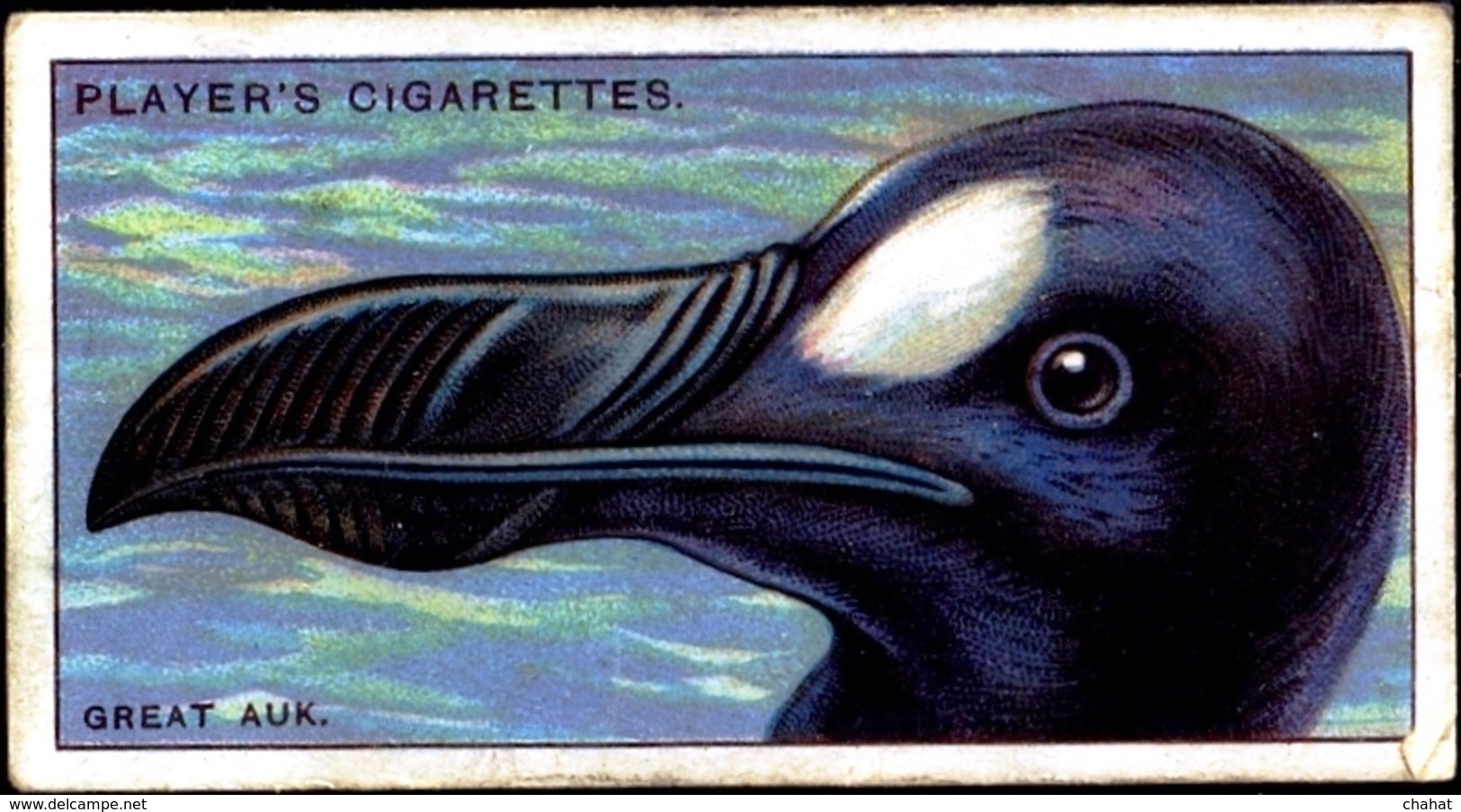 TOBACCO-CIGARETTES LABELS-JOHN PLAYERS & SONS-BIRDS-CURIOUS BEAKS-BIG COLLECTION-SCARCE-D4