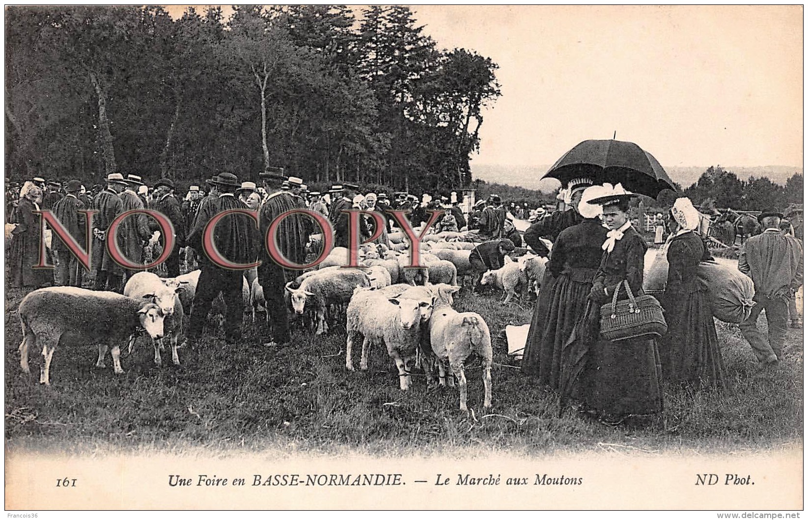 50 - Une Foire En Basse Normandie - Le Marché Aux Moutons - Sonstige & Ohne Zuordnung