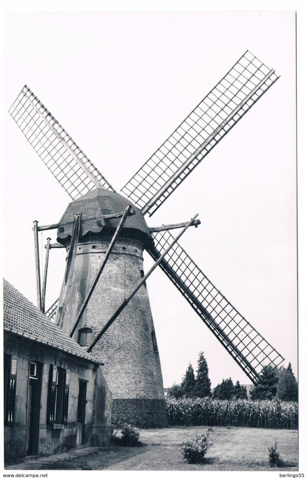 Kaulille - Grondzeiler Uit 1981 - Bocholt