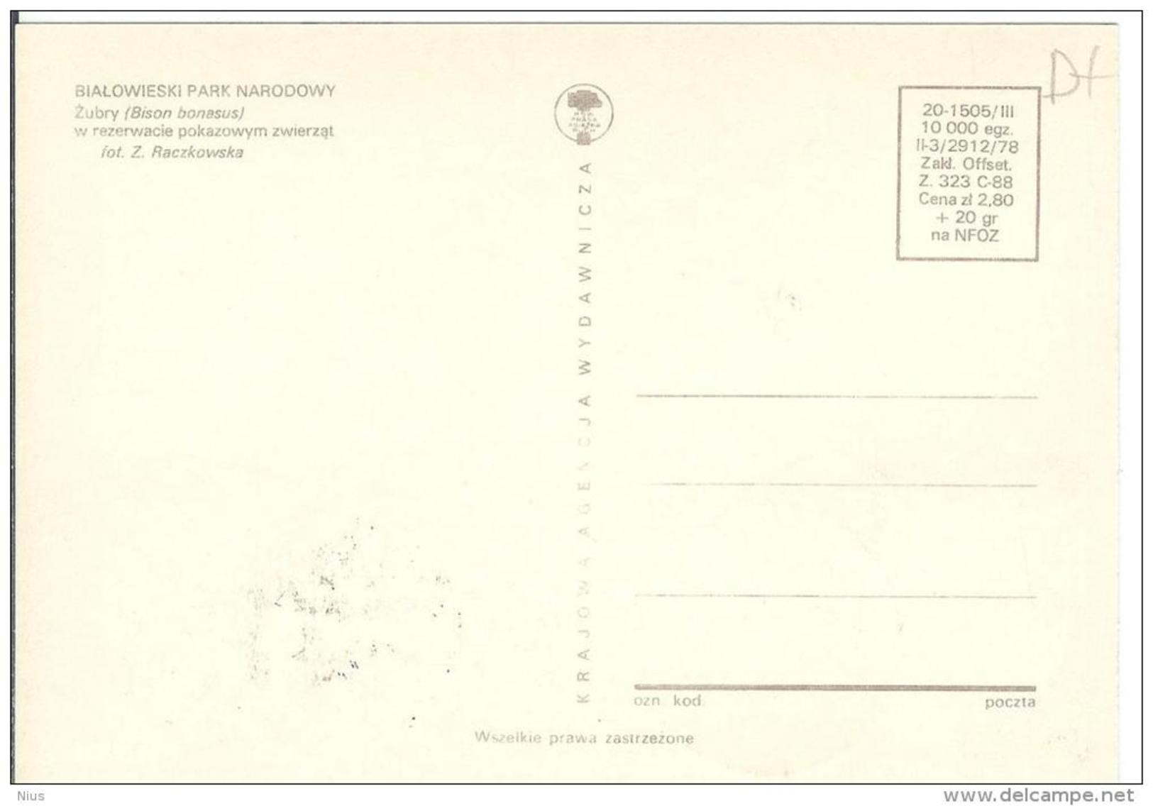 Poland Polska 1981 Fauna Wisent Bison Animal Mammal Canceled In Bialowieza - Tarjetas Máxima