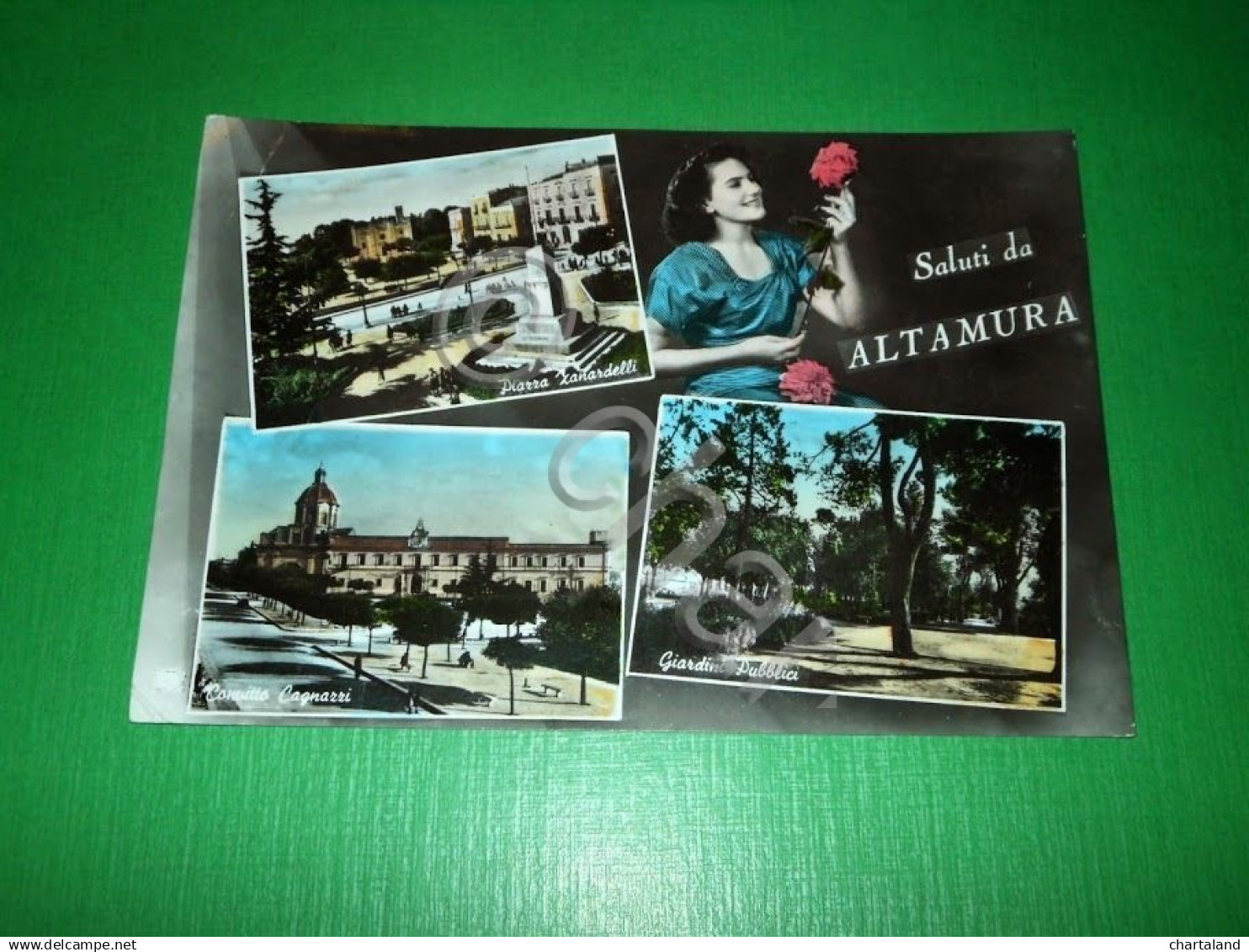 Cartolina Saluti Da Altamura  - Vedute Diverse 1956 - Bari