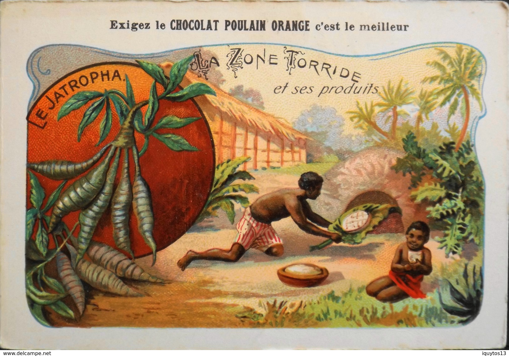 CHROMO - Chocolat POULAIN ORANGE - La Zone Torride Et Ses Produits - N°22 - Le Jatropha Manihot - En TBE - Poulain