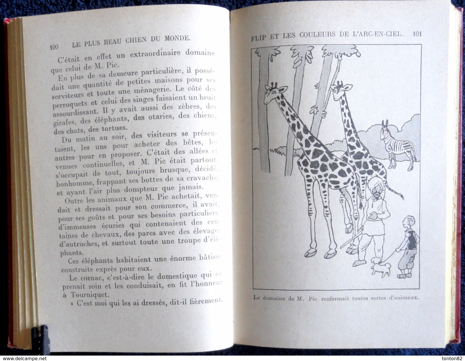 Thérèse Lenotre - Le plus beau chien du monde - Bibliothèque Rose Illustrée - ( 1950 ) - Illustrations Alain SAINT-OGAN