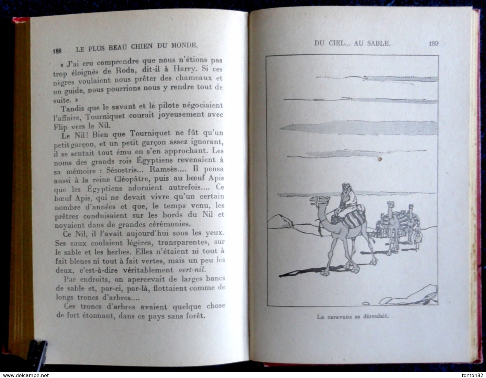 Thérèse Lenotre - Le plus beau chien du monde - Bibliothèque Rose Illustrée - ( 1950 ) - Illustrations Alain SAINT-OGAN