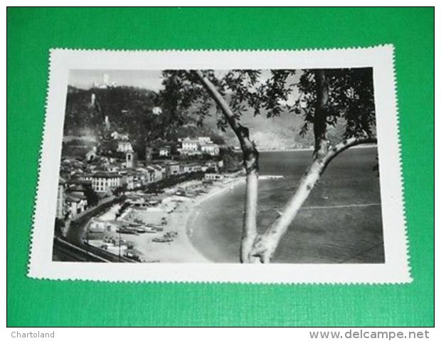 Cartolina Noli ( Savona ) - Panorama 1951 - Savona