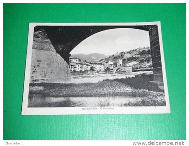 Cartolina Millesimo ( Savona ) - Il Bormida 1950 - Savona