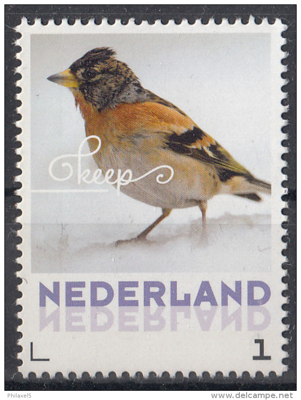 Nederland - 24 Januari 2017 - Wintervogels - Keep- Vogels/birds/vögel/oiseaux - MNH - Zangvogels