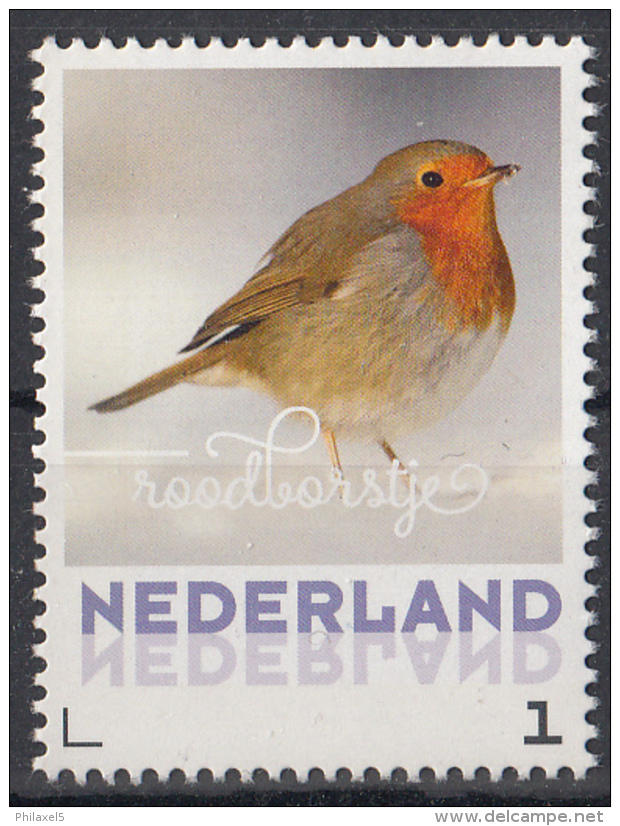 Nederland - 24 Januari 2017 - Wintervogels - Roodborstje - Vogels/birds/vögel/oiseaux - MNH - Zangvogels