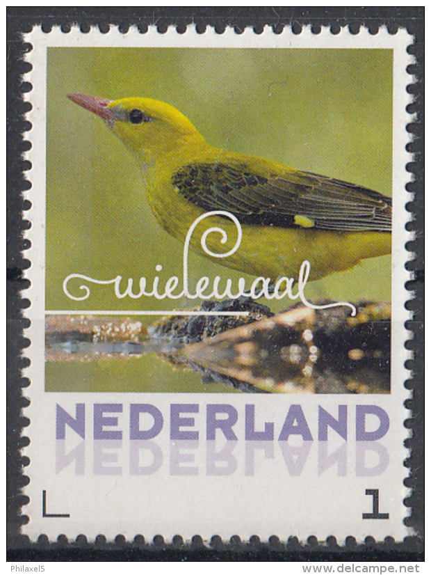 Nederland - 6 Juni 2017 - Zomervogels - Wielewaal - Vogels/birds/vögel/oiseaux - MNH - Zangvogels