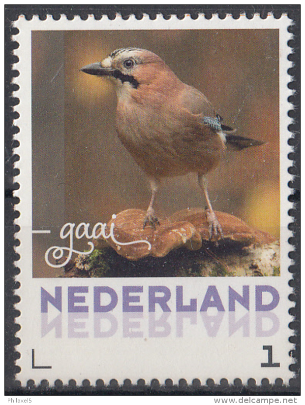 Nederland - September 2017 - Herfstvogels - Gaai- Vogels/birds/vögel/oiseaux - MNH - Pájaros Cantores (Passeri)