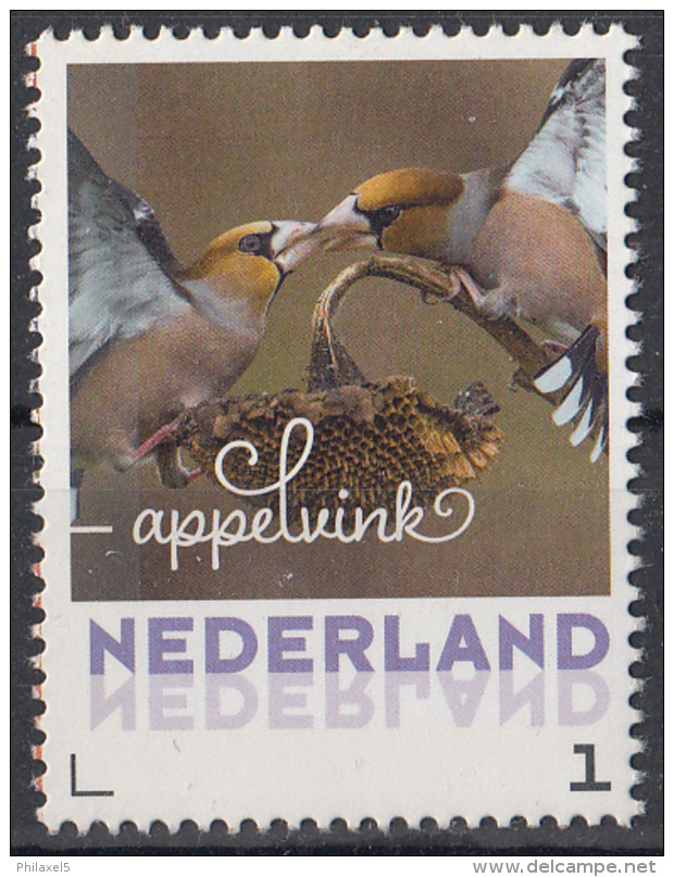 Nederland - September 2017 - Herfstvogels - Appelvink - Vogels/birds/vögel/oiseaux - MNH - Zangvogels