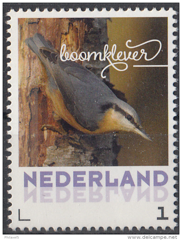 Nederland - September 2017 - Herfstvogels - Boomklever - Vogels/birds/vögel/oiseaux - MNH - Sperlingsvögel & Singvögel