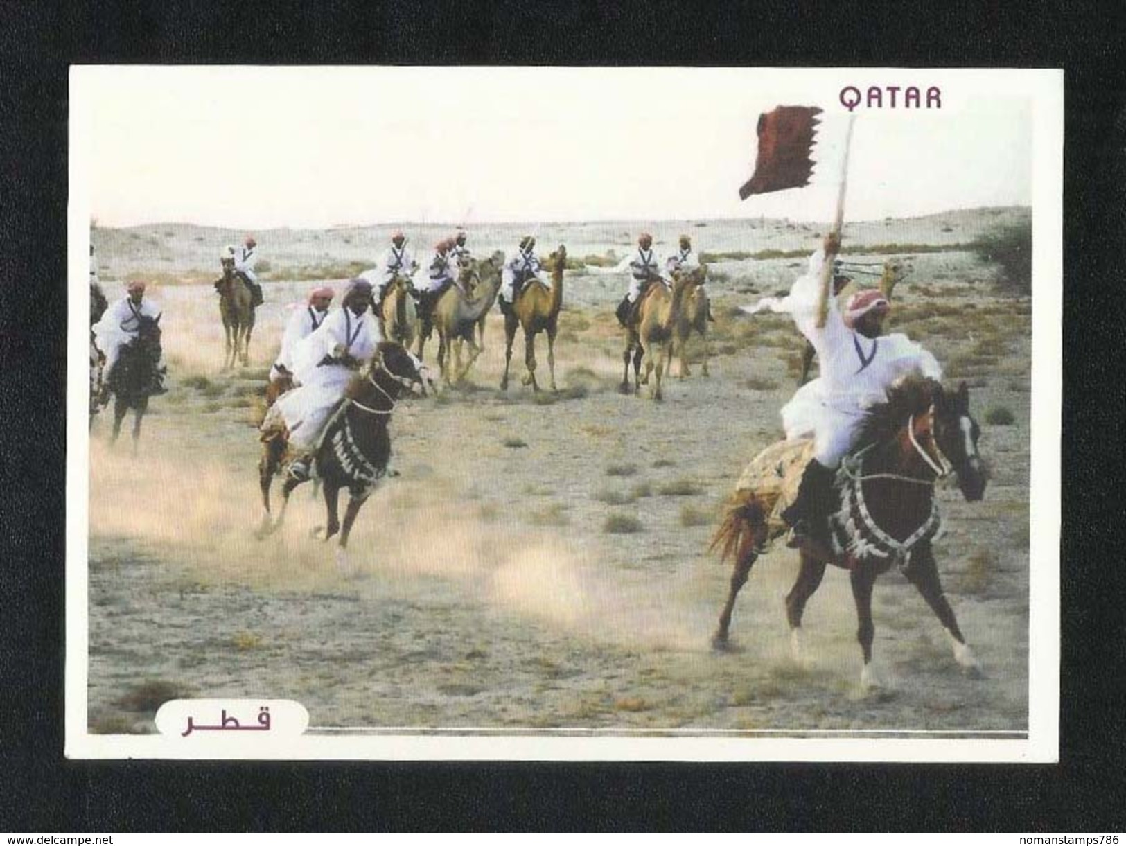 Qatar Picture Postcard Horsemanship View Card - Qatar