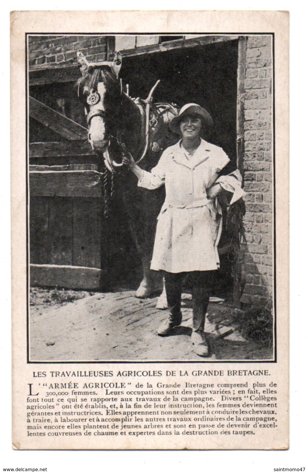 MILITARIA . " L'Armée Agricole " . LES TRAVAILLEUSES AGRICOLES DE LA GRANDE-BRETAGNE - Réf. N°3144 - - Autres & Non Classés