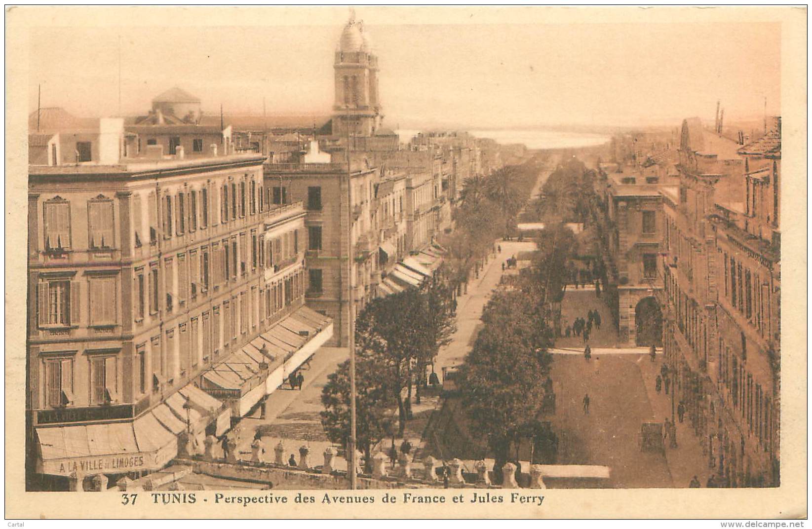 TUNIS - Perspective Des Avenues De France Et Jules Ferry - Tunisie