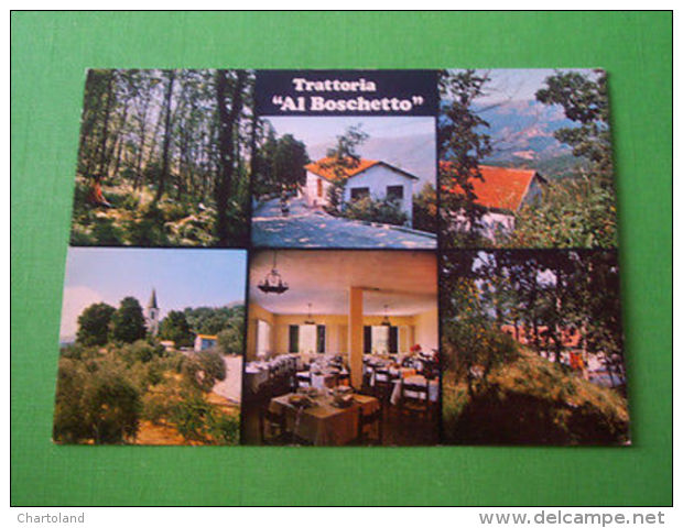 Cartolina Casoni / Aurigo - Trattoria Al Boschetto 1960 - Imperia