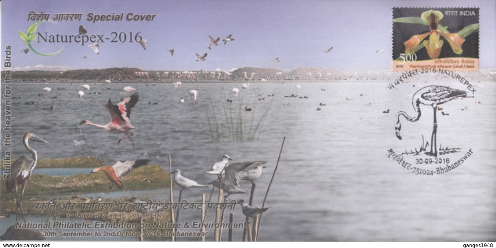 India  2016  Birds  Cancellation  Naturepex  BHUBNESHWAR  Special Cover  # 76724   Inde Indien - Albatros