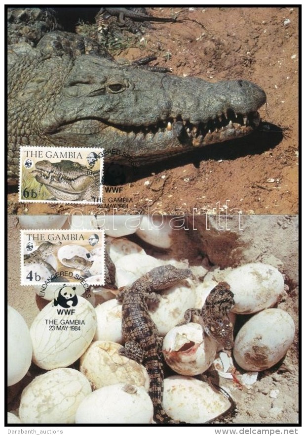 1984 WWF: N&iacute;lusi Krokodil Sor Mi 517-520 4 CM-n - Altri & Non Classificati