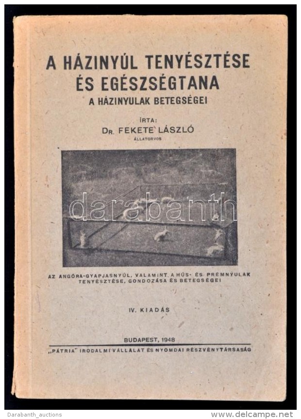 Dr. Fekete L&aacute;szl&oacute;: A H&aacute;ziny&uacute;lteny&eacute;szt&eacute;s Eg&eacute;szs&eacute;gtana. A... - Non Classificati