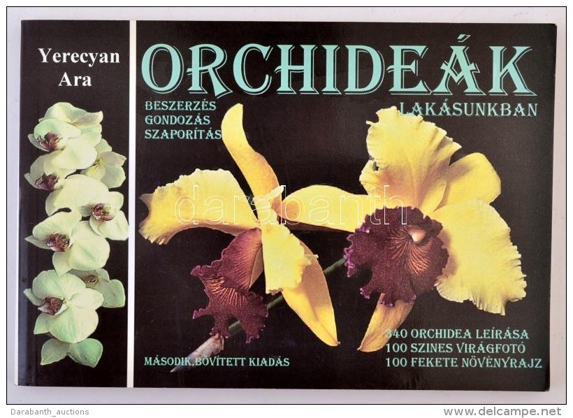 Yerecyan Ara: Orchide&aacute;k Lak&aacute;sunkban. Beszerz&eacute;s, Gondoz&aacute;s, Szapor&iacute;t&aacute;s.... - Non Classificati
