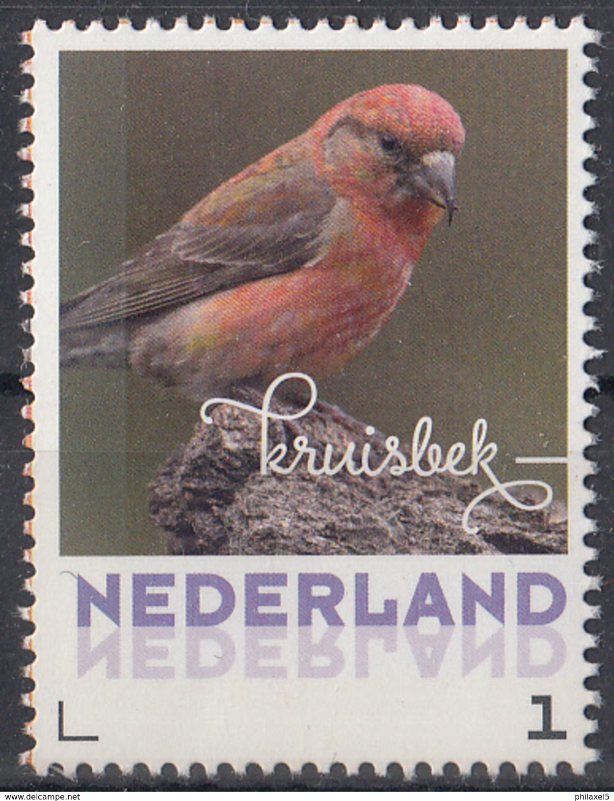 Nederland - September 2017 - Herfstvogels - Kruisbek- Vogels/birds/vögel/oiseaux - MNH - Personalisierte Briefmarken