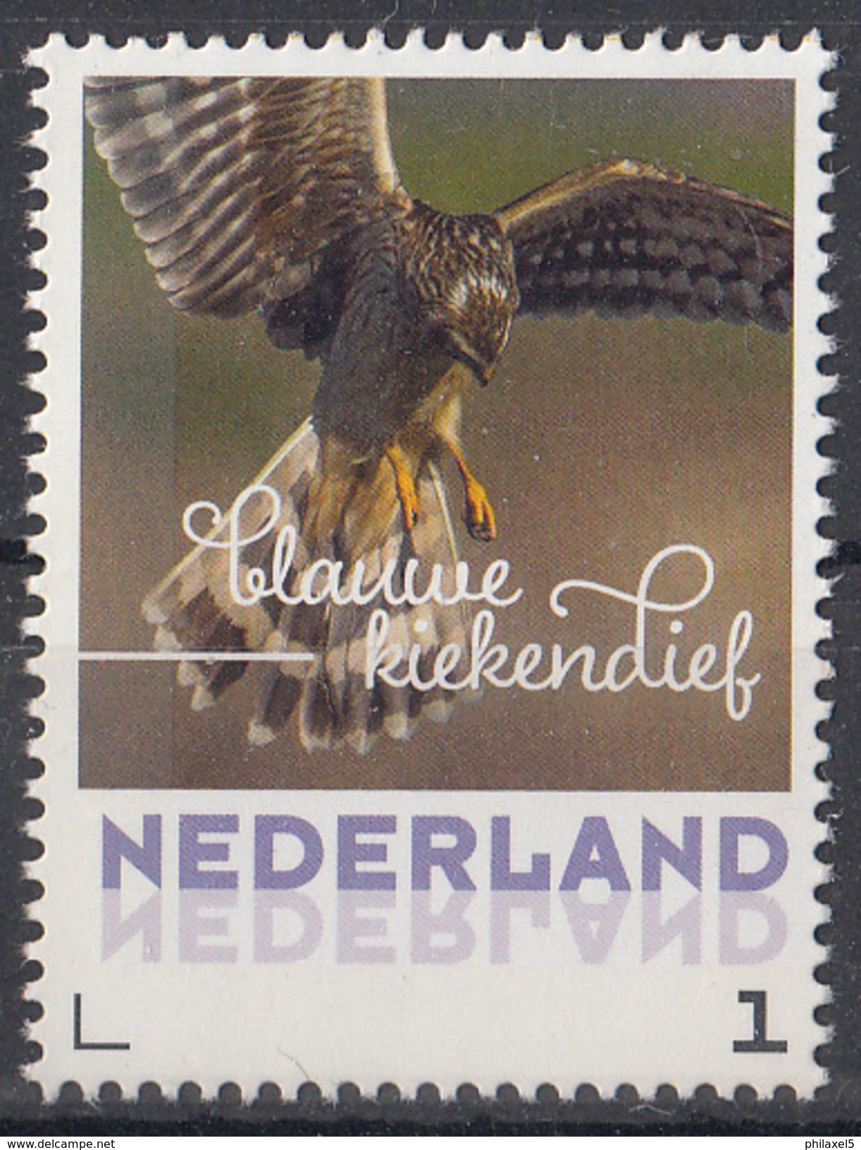 Nederland - September 2017 - Herfstvogels - Blauwe Kiekendief - Vogels/birds/vögel/oiseaux - MNH - Personalisierte Briefmarken