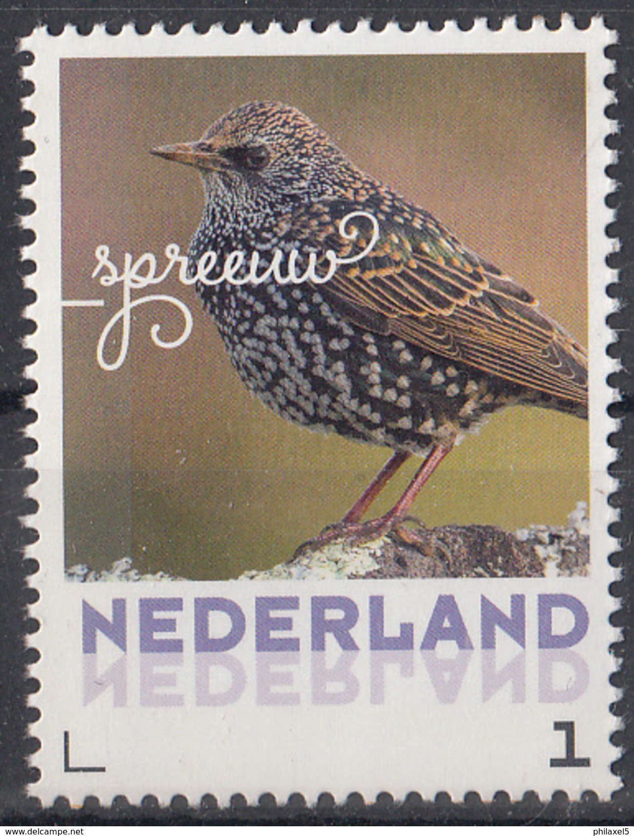 Nederland - September 2017 - Herfstvogels - Spreeuw - Vogels/birds/vögel/oiseaux - MNH - Personalisierte Briefmarken