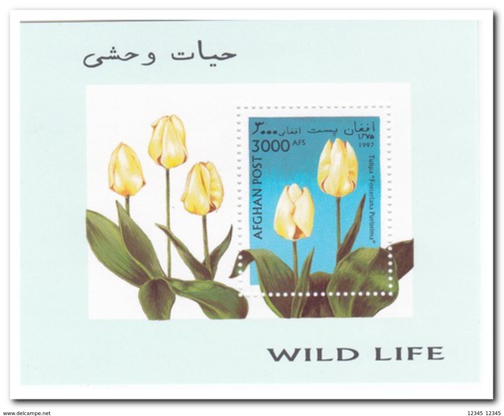 Afghanistan 1997, Postfris MNH, Flowers - Afghanistan