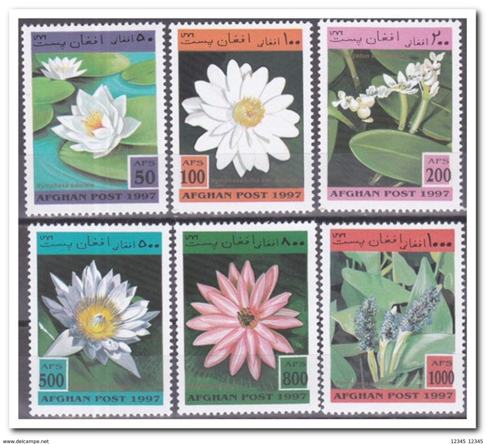 Afghanistan 1997, Postfris MNH, Flowers - Afghanistan