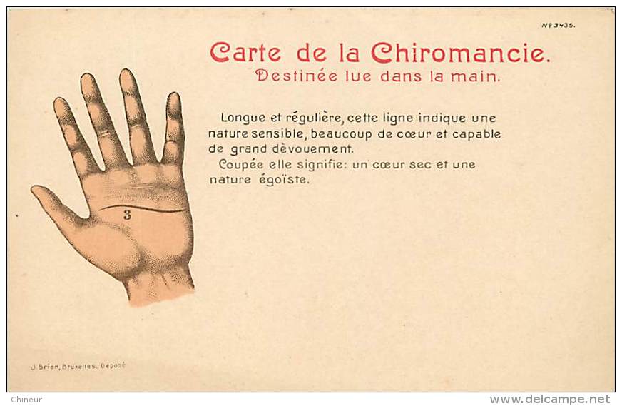 CARTE DE LA CHIROMANCIE DESTINEE LUE DANS LA MAIN THEME VOYANCE  SERIE DE 7 CARTES - Altri & Non Classificati