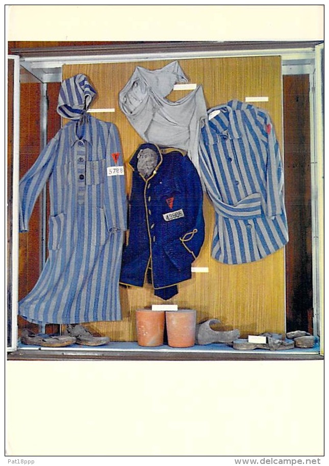 MILITARIA - Camp De Concentration Allemand Du STRUTHOF ( Musée ) Vêtements De Détenus Et Urnes - CPSM GF - - Autres & Non Classés