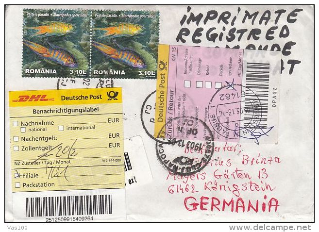 PARADISE FISH, CURRENCY DENOMINATION, STAMPS ON REGISTERED COVER, 2013, ROMANIA - Lettres & Documents