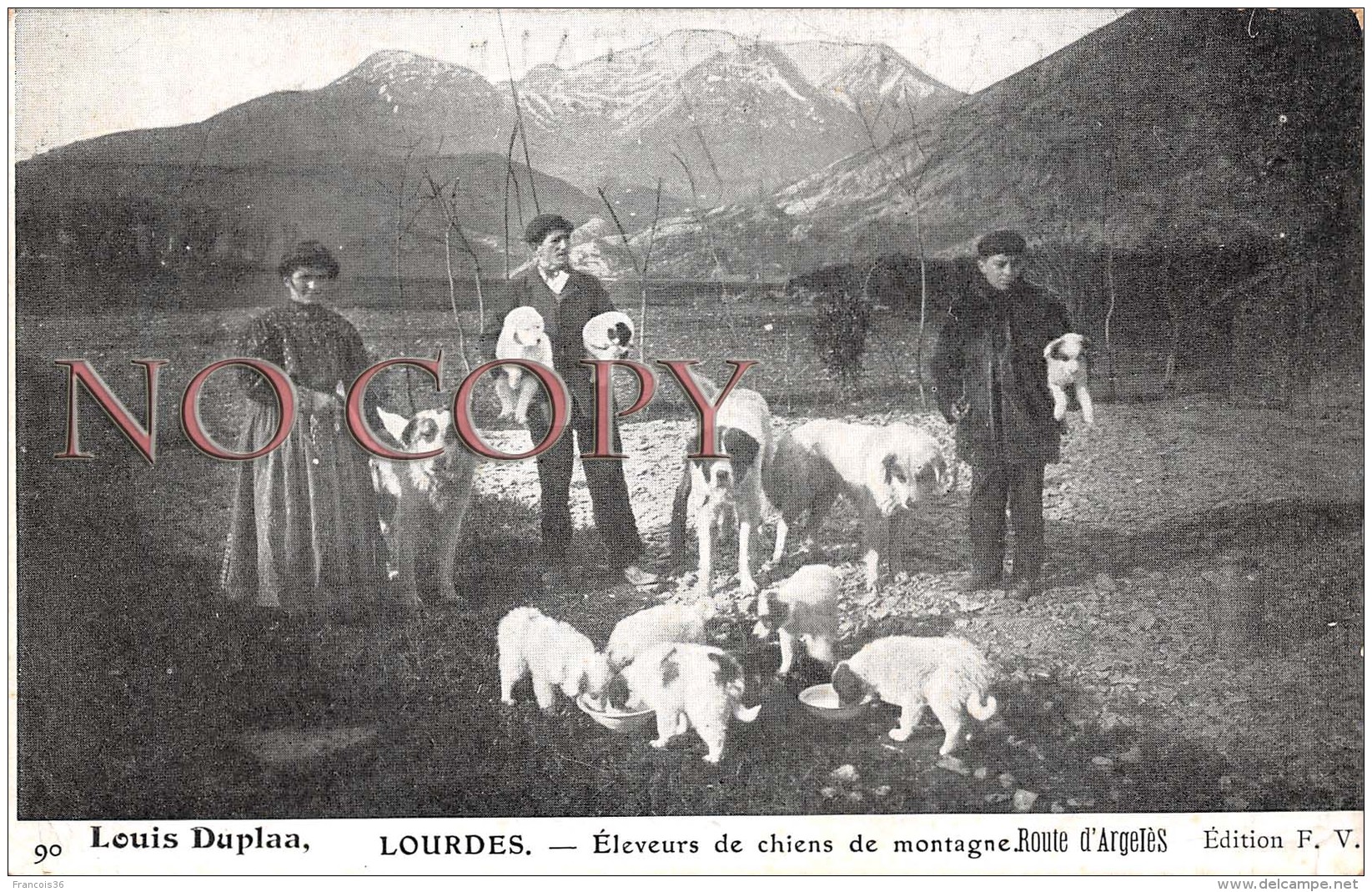 65 - Lourdes - Eleveurs De Chiens De Montagne - Métier - Lourdes