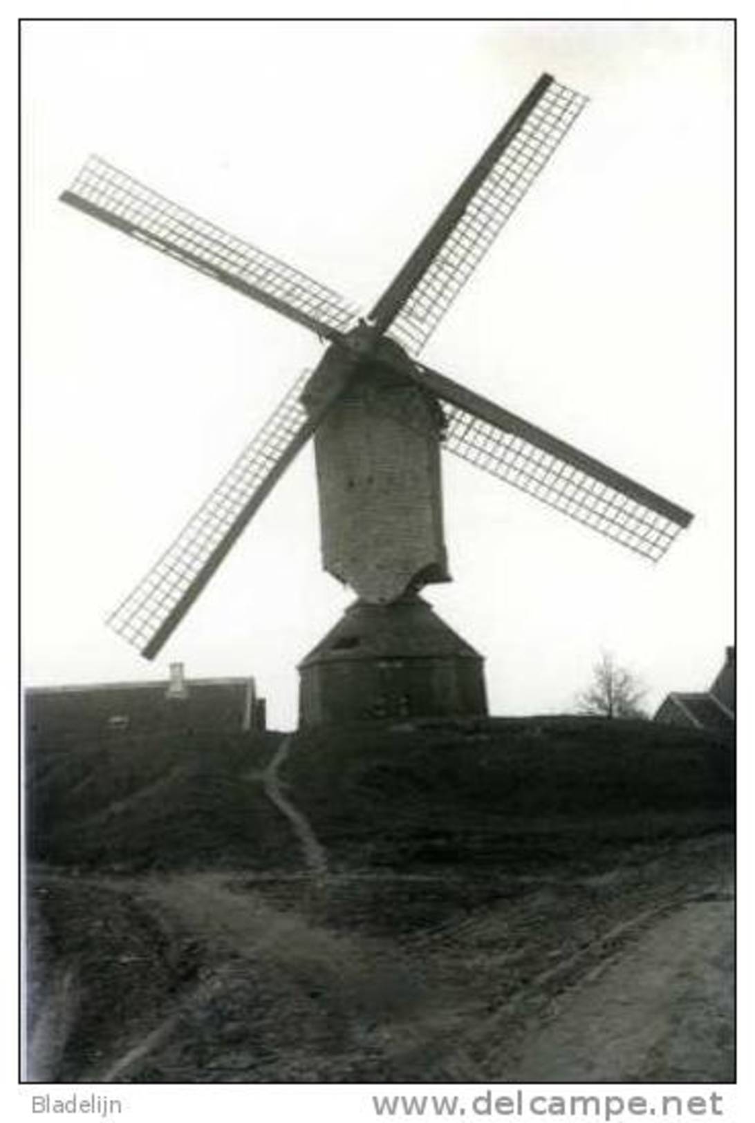OELEGEM - Ranst (Prov. Antw.) - Molen/moulin - De Gewezen Molen Van Helsen D.d. 14 Maart 1926 (foto Van Glasnegatief) - Ranst