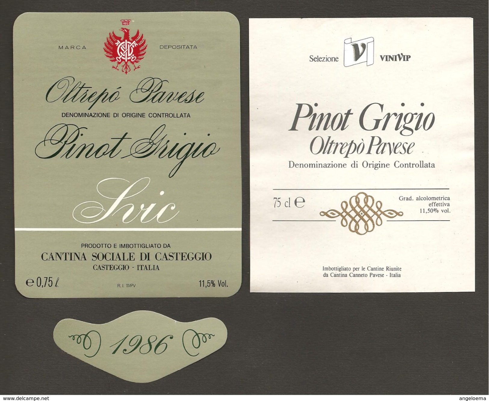 ITALIA - 2 Etichette Vino PINOT GRIGIO Doc 1984 Cantine SOC. CASTEGGIO E CANNETO PAVESE  Bianco Di LOMBARDIA - Vino Bianco
