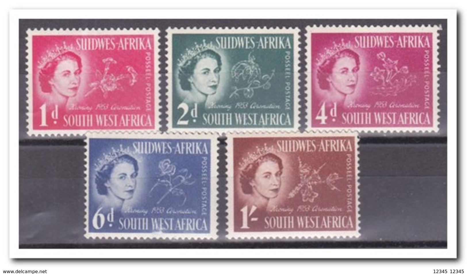 SWA Zuid West Afrika 1953, Postfris MNH, Queen, Flowers - Africa (Other)