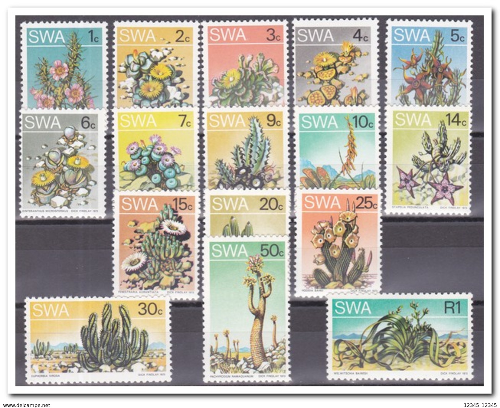 SWA Zuid West Afrika 1973, Postfris MNH, Flowers, Cacti - Otros - África