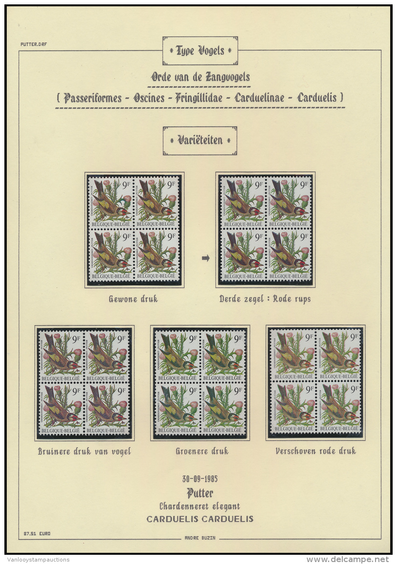 BUZIN De ULTIEME Verzameling, Opgesteld - 1985-.. Vogels (Buzin)